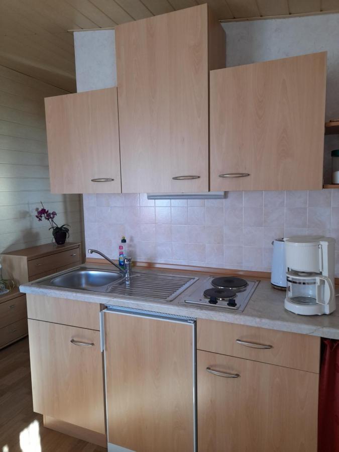 Falkenstein Reinhardtsdorf-Schona ภายนอก รูปภาพ
